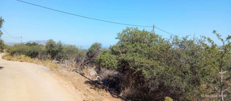 Kokkino Chorio Kreta, Kokkino Chorio: Grundstück mit uneingeschränktem Meerblick zu verkaufen Grundstück kaufen